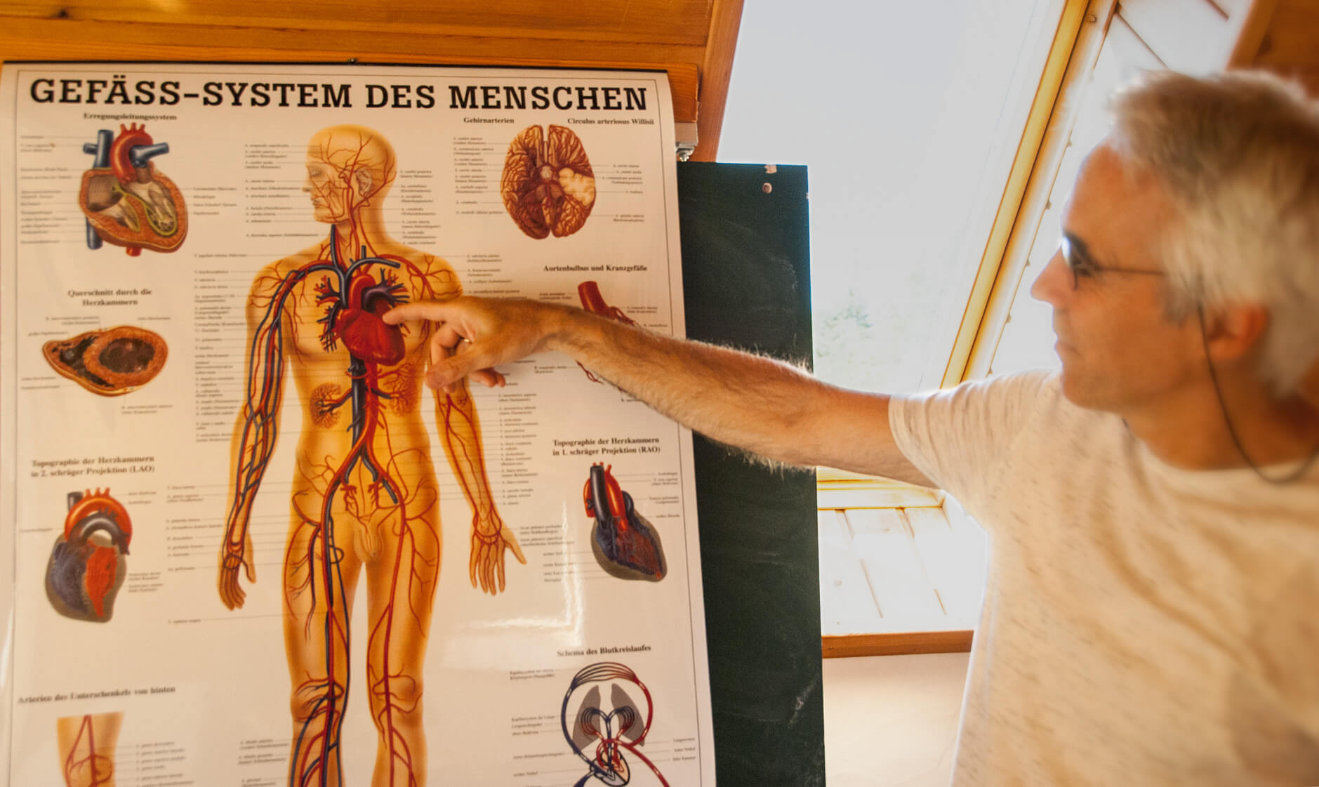 Heilpraktiker Ausbildung Helianthus